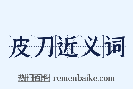 皮刀近义词是什么意思的图片